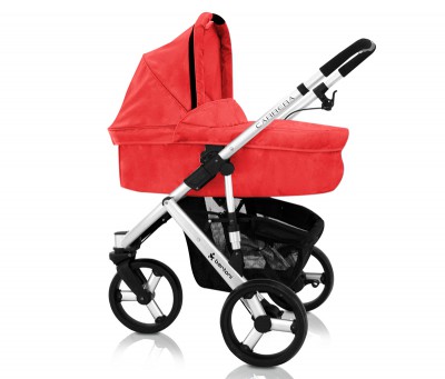 bertoni_carera2.jpg