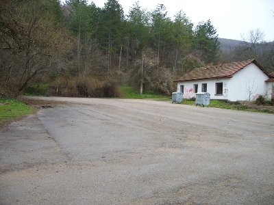 SS853961.JPG