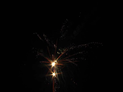 IMG_4466a.jpg