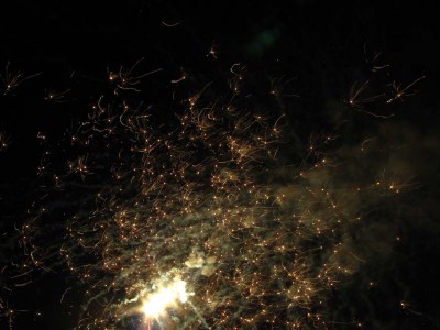 IMG_4478a.jpg