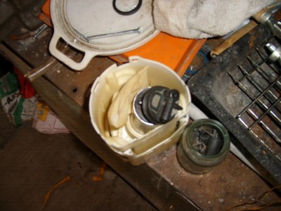 STP60495.JPG