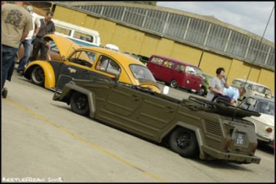 259__500x500_bug81.jpg