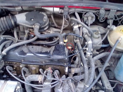 11072010042.jpg