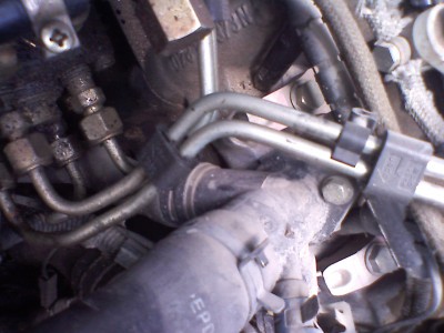 P183_21_07_2010.jpg