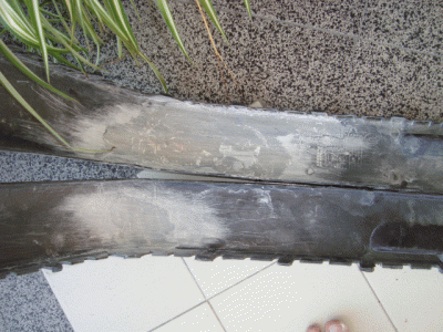 DSC05371.gif