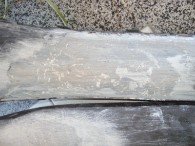 DSC05372.gif