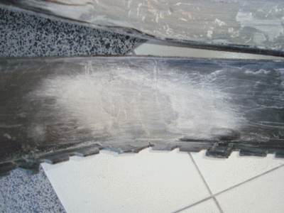 DSC05373.gif