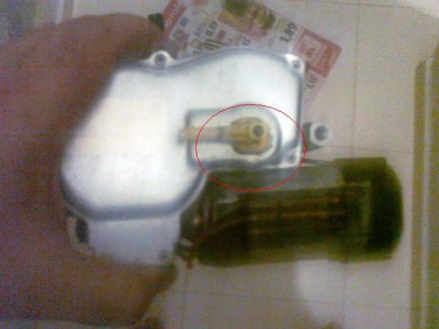 30072010.jpg