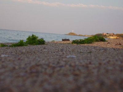 P1130062.JPG