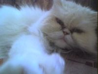 DSC00082.JPG