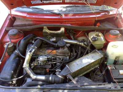 03092010054ab.jpg