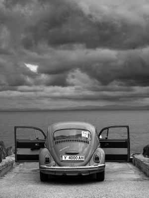 vw333.jpg