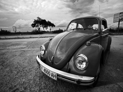 vw444.jpg