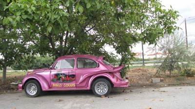 IMG_0676.jpg