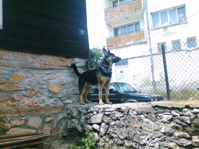 IMG025.jpg