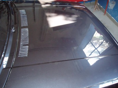 P1010029.JPG