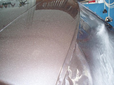 P1010030.JPG