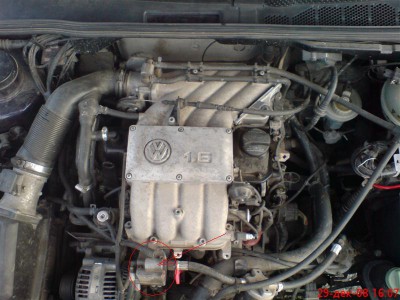 DSC00119 (Medium).JPG