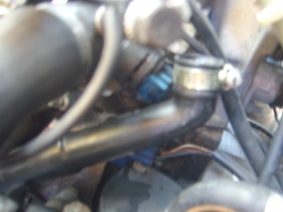 STA62860.JPG
