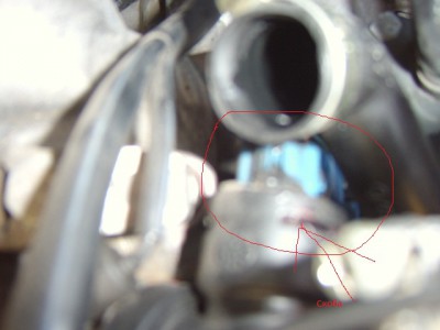 STA62857123.jpg