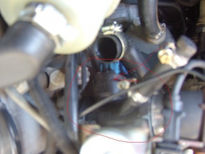 STA6286222222.jpg