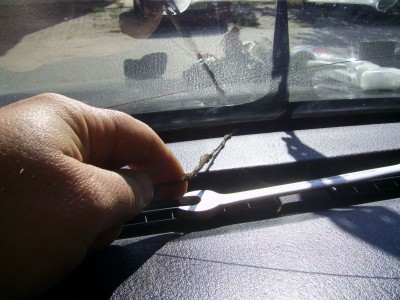 PIC_0014.jpg