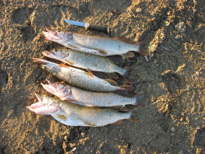 IMG_7096.jpg