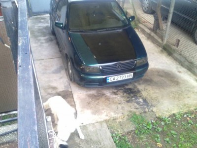 Picture1.jpg