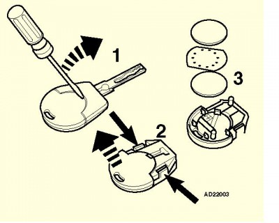 polo key battery.JPG