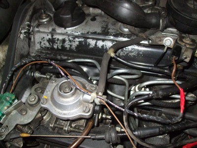 DSCF9260.JPG