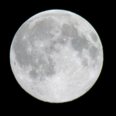 P1000715.jpg