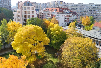 DSC_3596.jpg