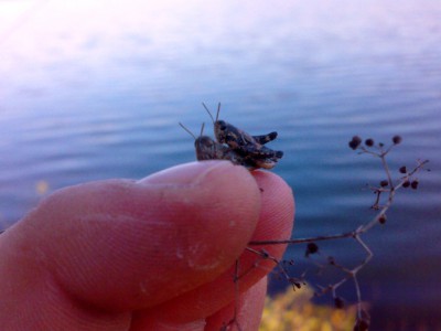 24102010430.jpg