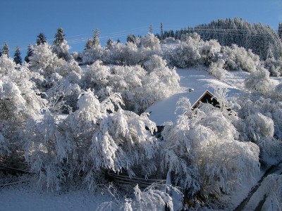 DSCN5219.JPG