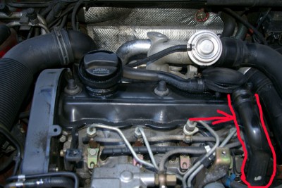 Passat_B4_1.9TDI_81kW_AFN.jpg