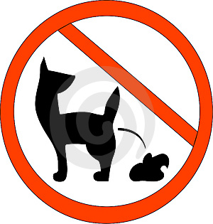 no dog5.jpg
