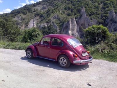 30072010319x.jpg