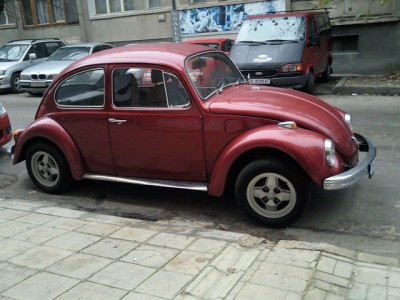 SNC00299x.jpg